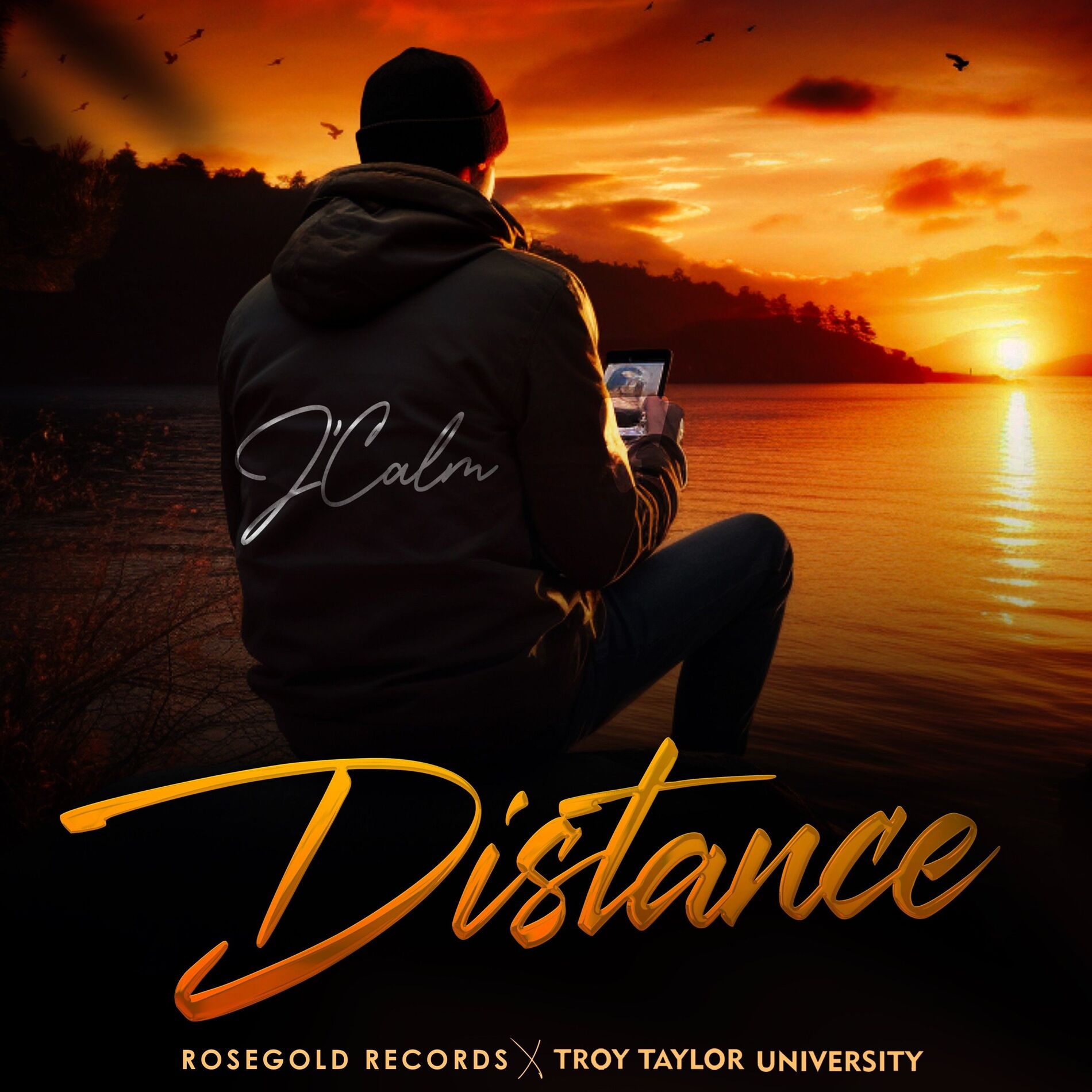 Album cover of Distance