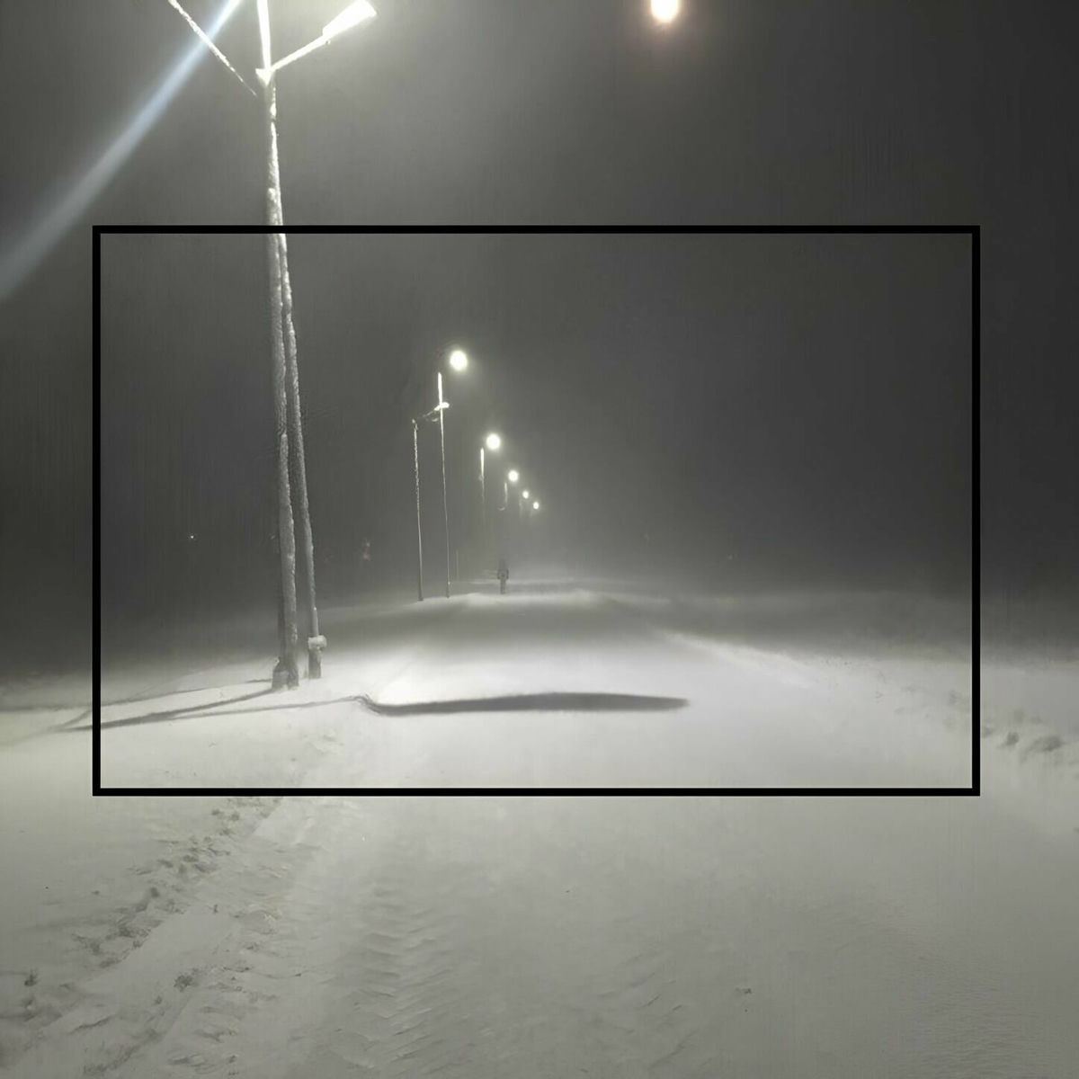 Album cover of fragile mind