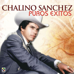 Cover of Puros Éxitos