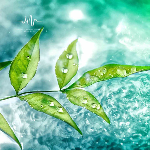 诗言｜梦之空灵鼓自愈｜瑜伽舒缓