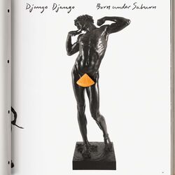 Cover of Born Under Saturn