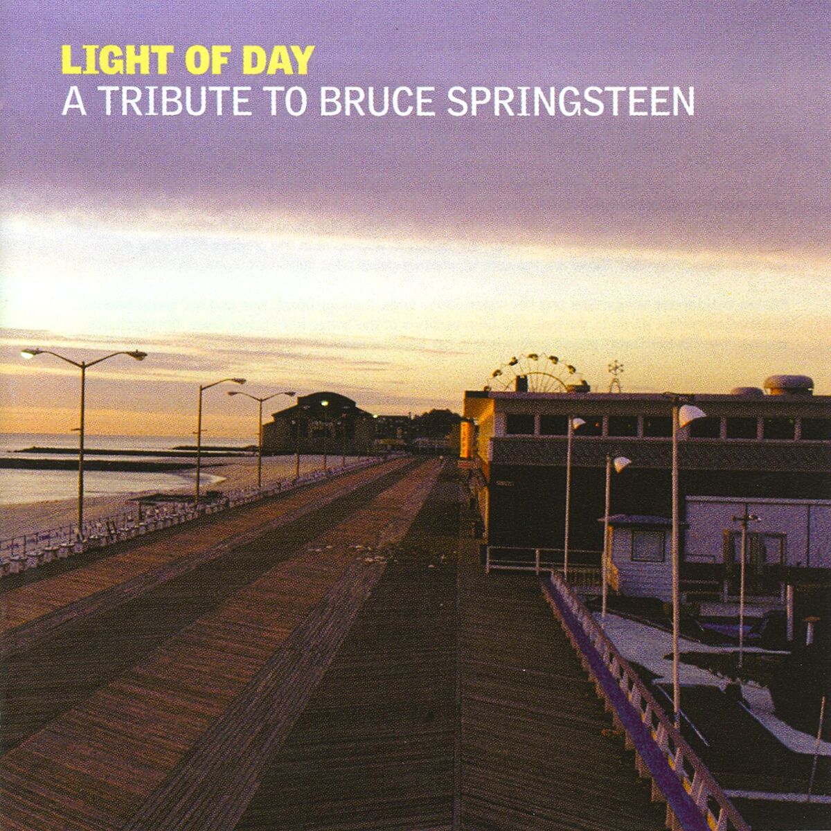 Album cover of Light of Day: A Tribute to Bruce Springsteen