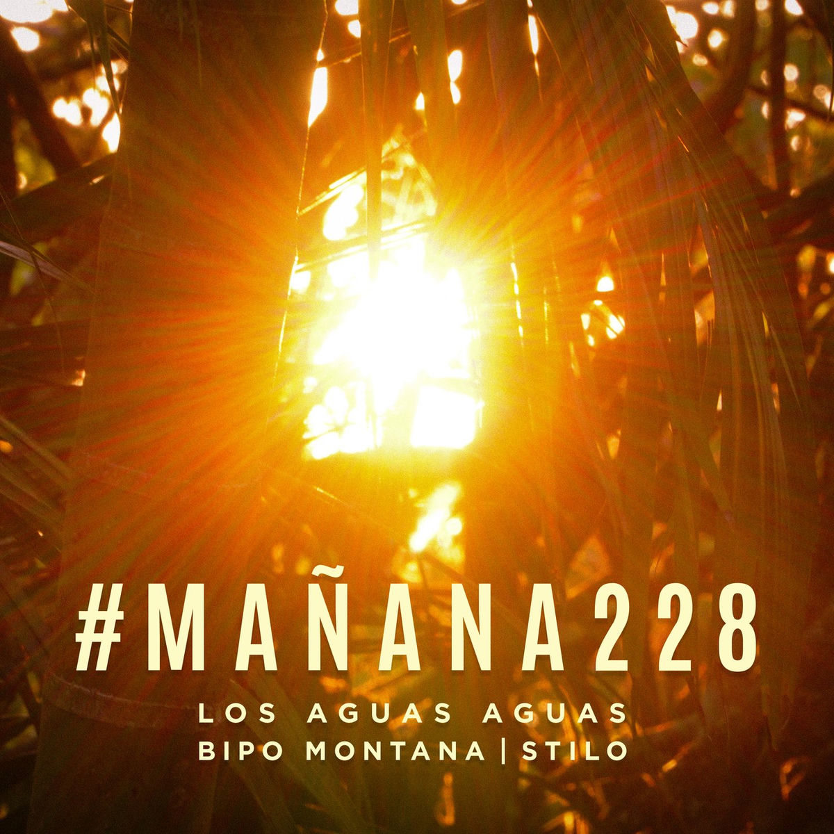 Album cover of #Mañana228