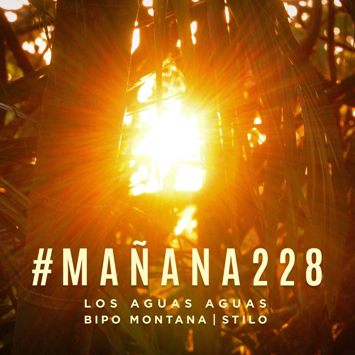 Album cover of #Mañana228
