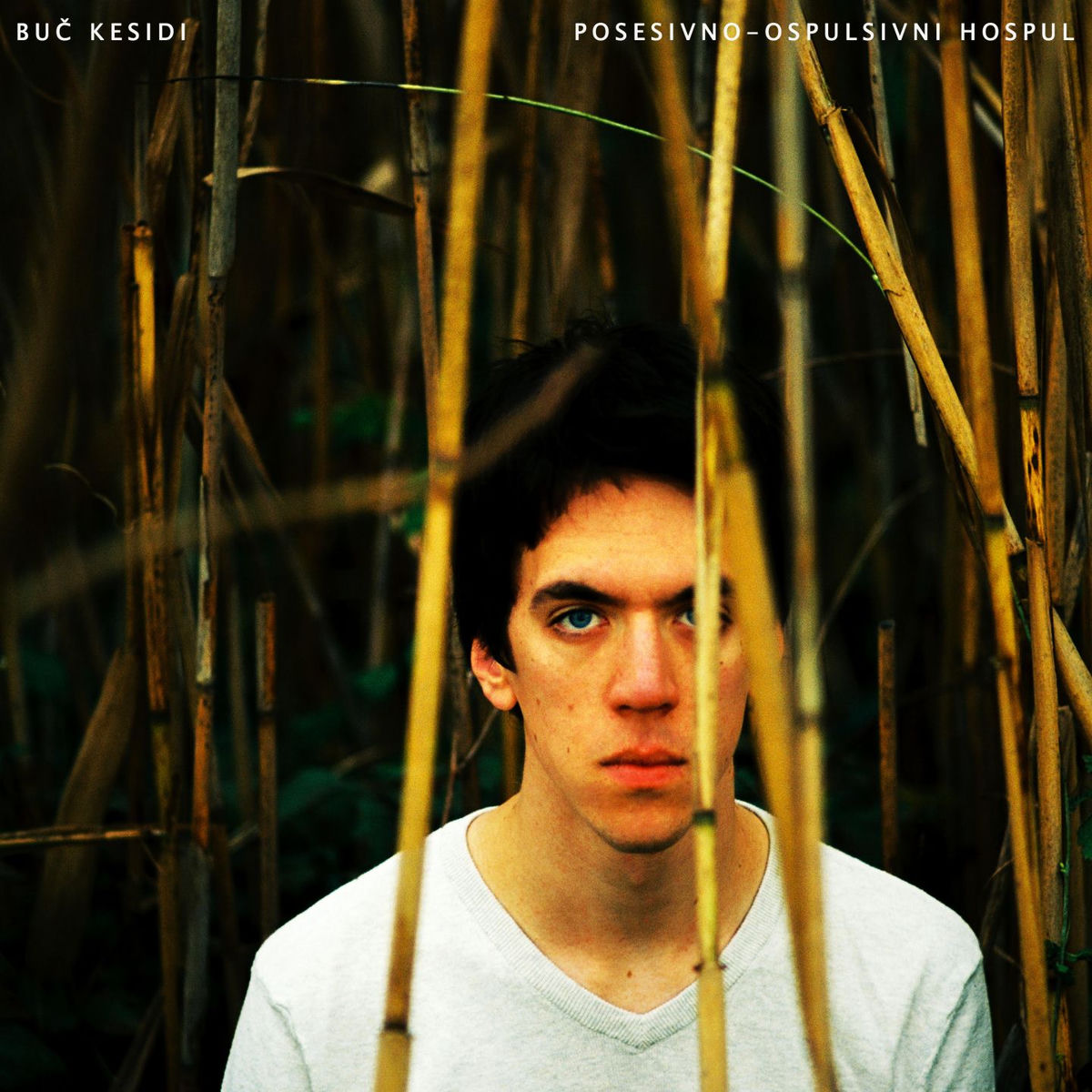 Album cover of Ne umem da pričam sa tobom