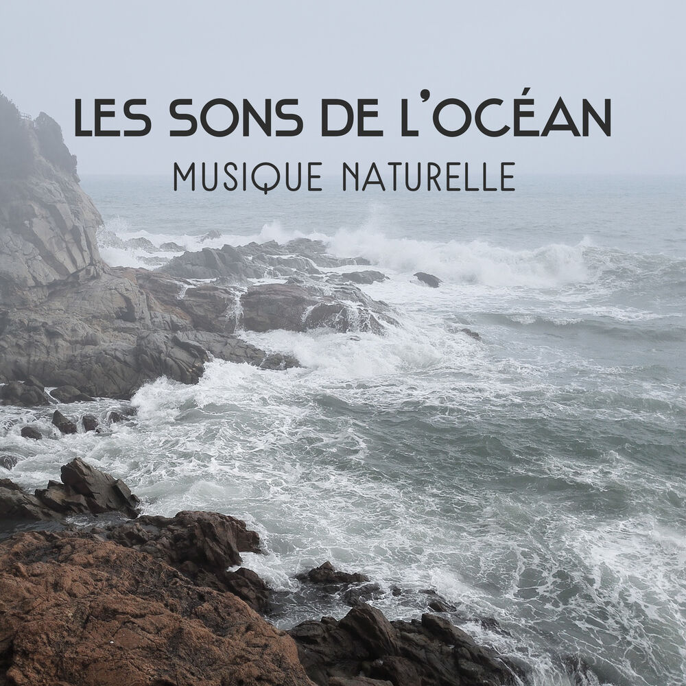 Picture of Les sons de l'océan - Musique naturelle pour se détendre, Raisons pour se méditation, Trouvez votre chemin