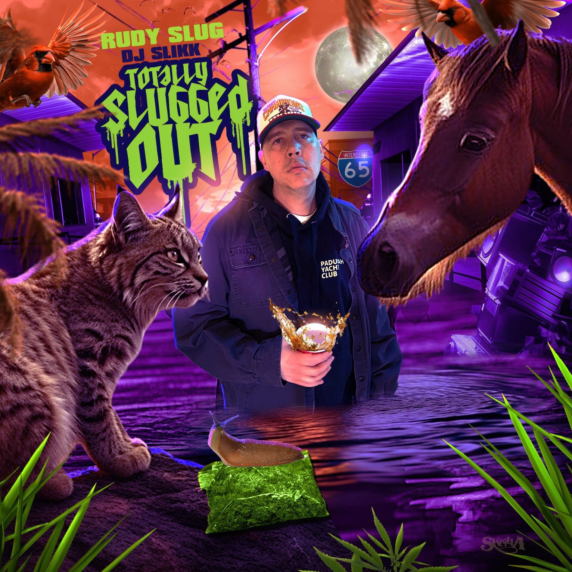 Album cover of Totally Slugged Out