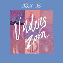 Cover of Vaders Zoon