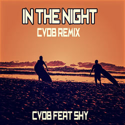 In the Night (Cvdb Remix)