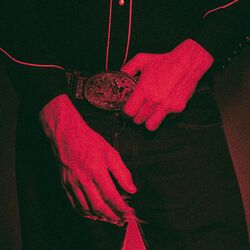Neon Cowboy