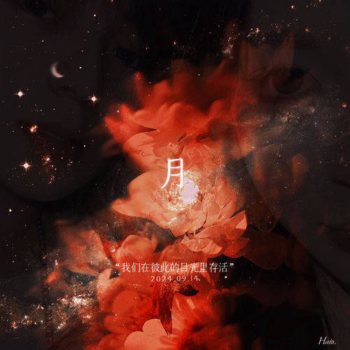 我们在彼此的目光里存活