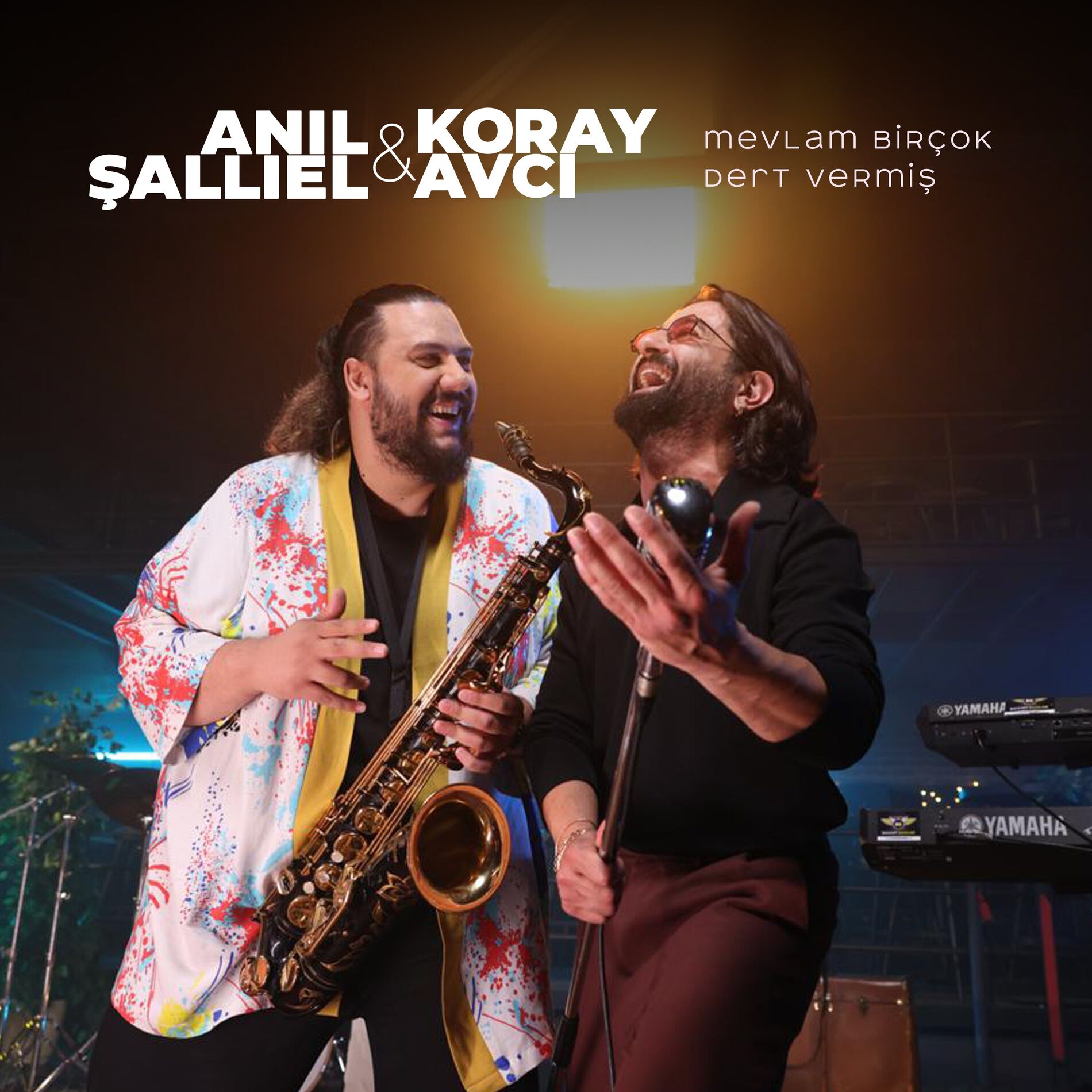 Album cover of Mevlam Birçok Dert Vermiş