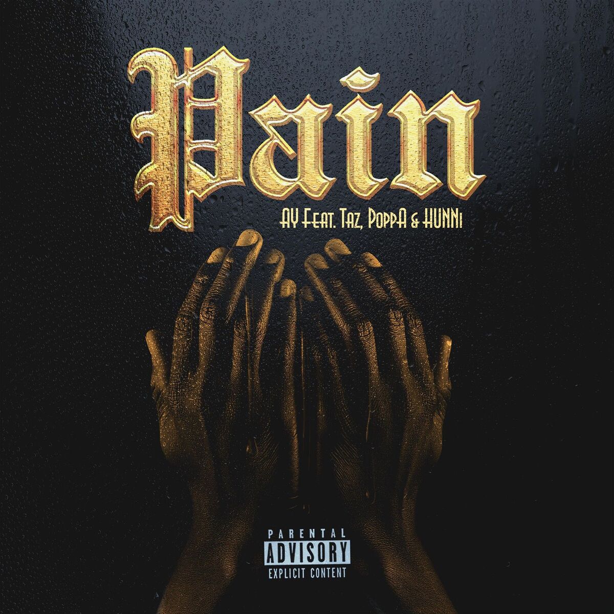Album cover of Pain