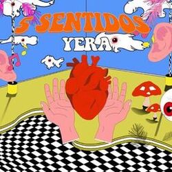 5 Sentidos