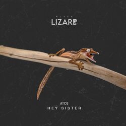 Cover of Hey Sister