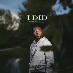 Cover of I Did
