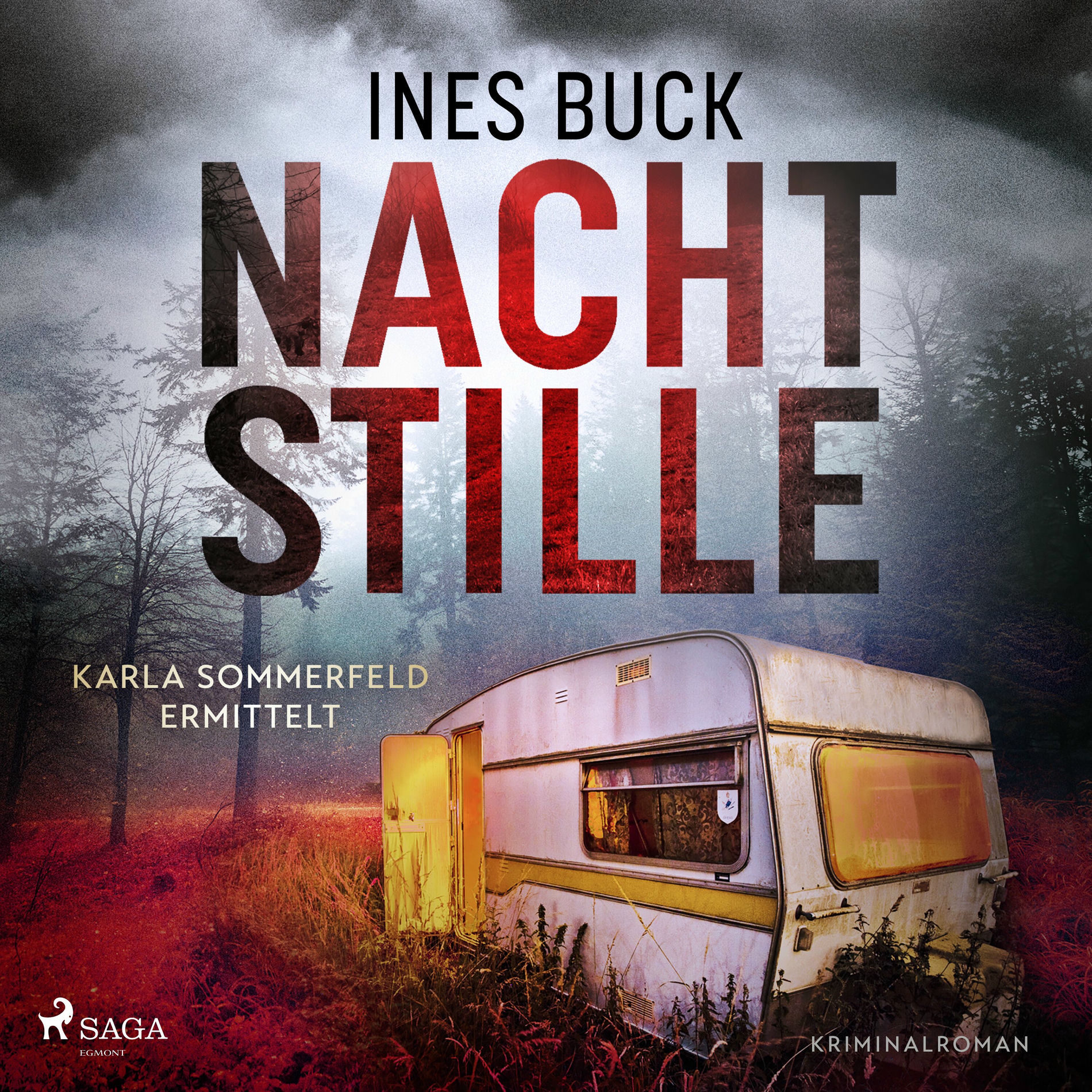 Album cover of Kapitel 01 - Nachtstille