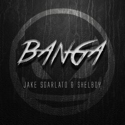 Cover of Banga