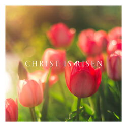 Cover of Christ Is Risen