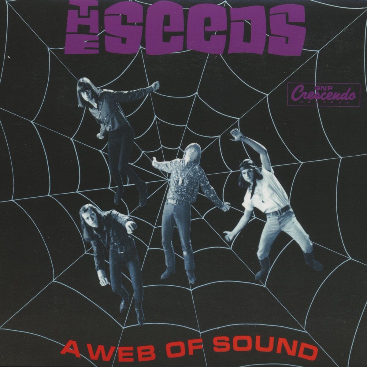 Album cover of A Web of Sound (Deluxe Reissue)