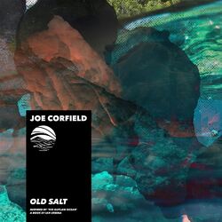Cover of Old Salt (Inspired by ‘The Outlaw Ocean’ a book by Ian Urbina)