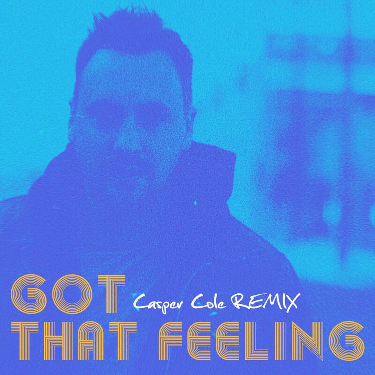 Album cover of Got That Feeling (Remix)
