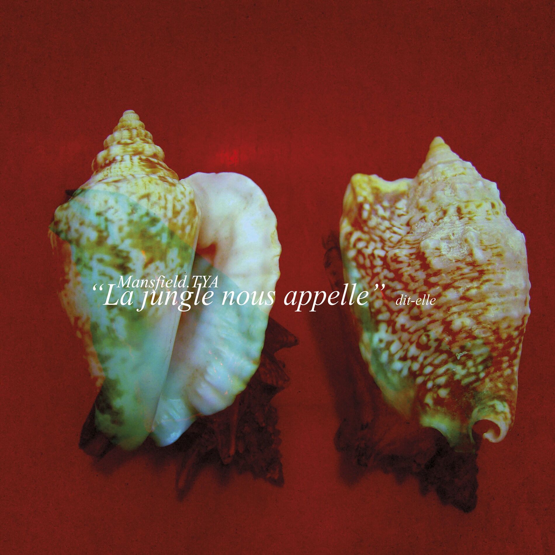 Album cover of Les rebelles