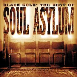 Cover of Black Gold: The Best Of Soul Asylum