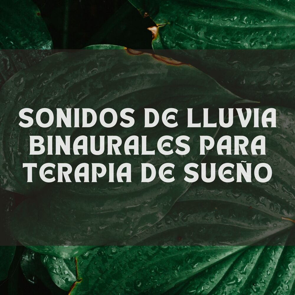 Picture of Sonidos De Lluvia Binaurales Para Terapia De Sueño