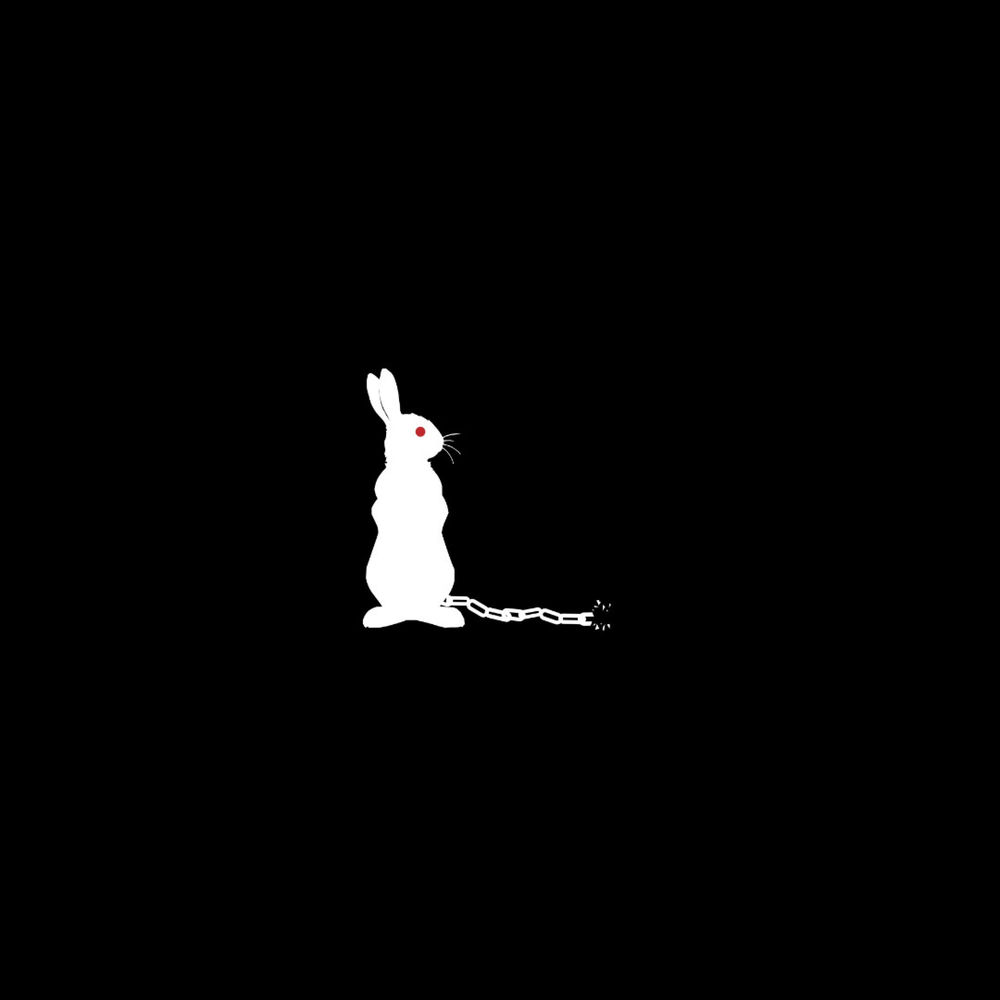 Free The Rabbits artwork