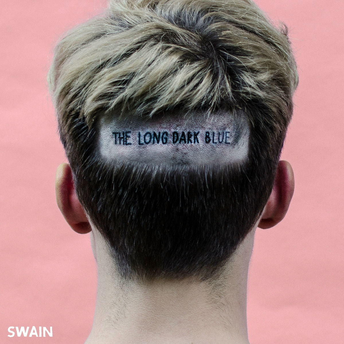 Album cover of The Long Dark Blue