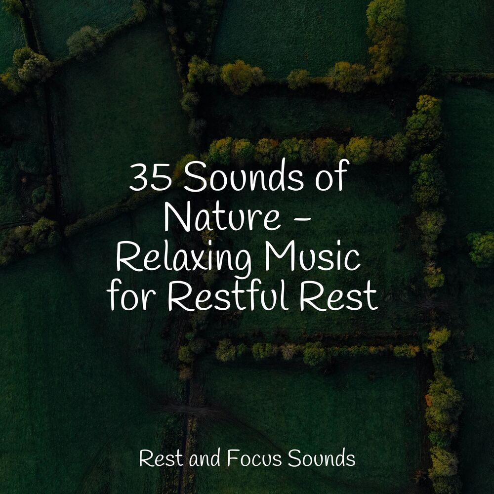 Picture of 35 Sounds of Nature - Relaxing Music for Restful Rest