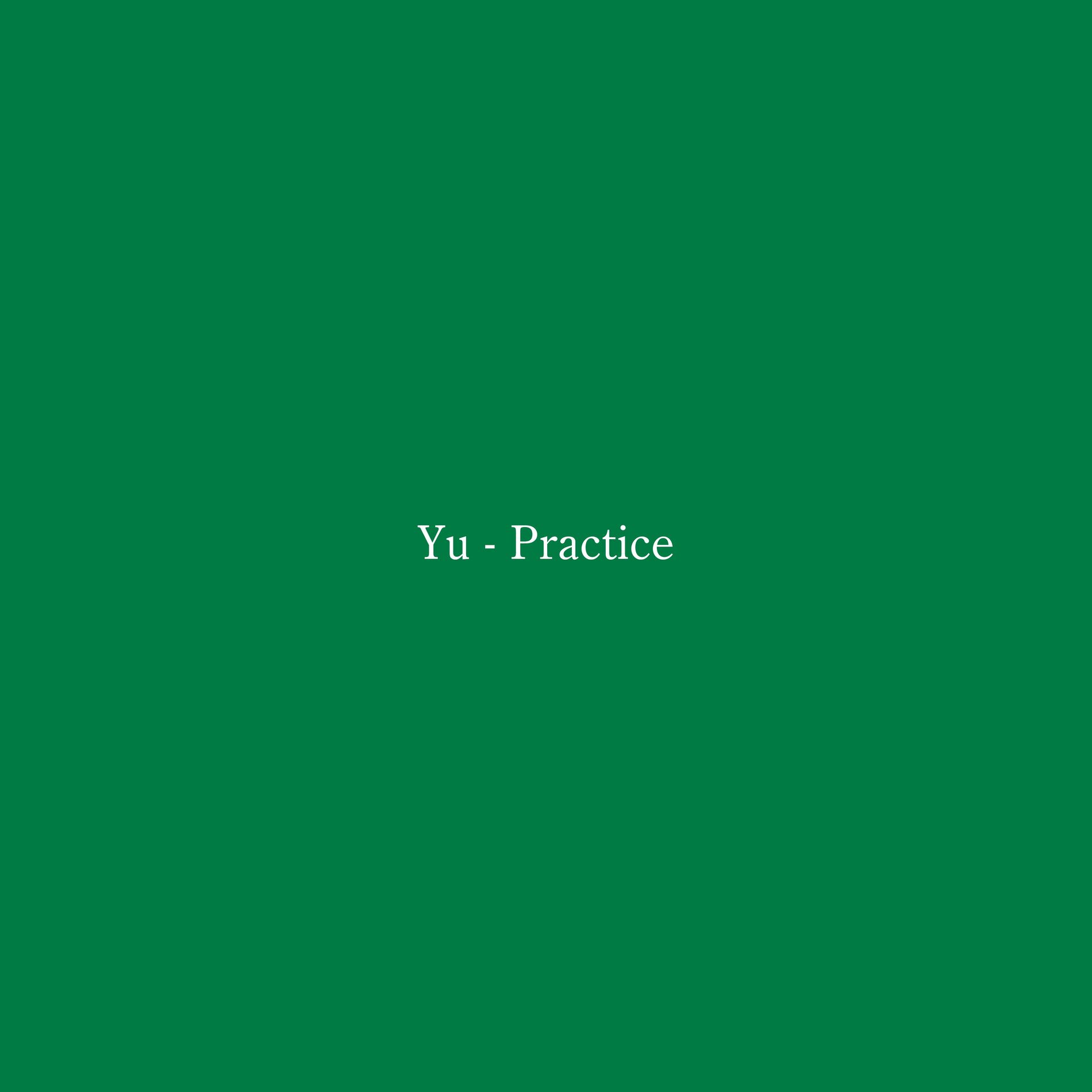 Album cover of Practice