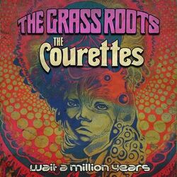 Cover of Wait a Million Years