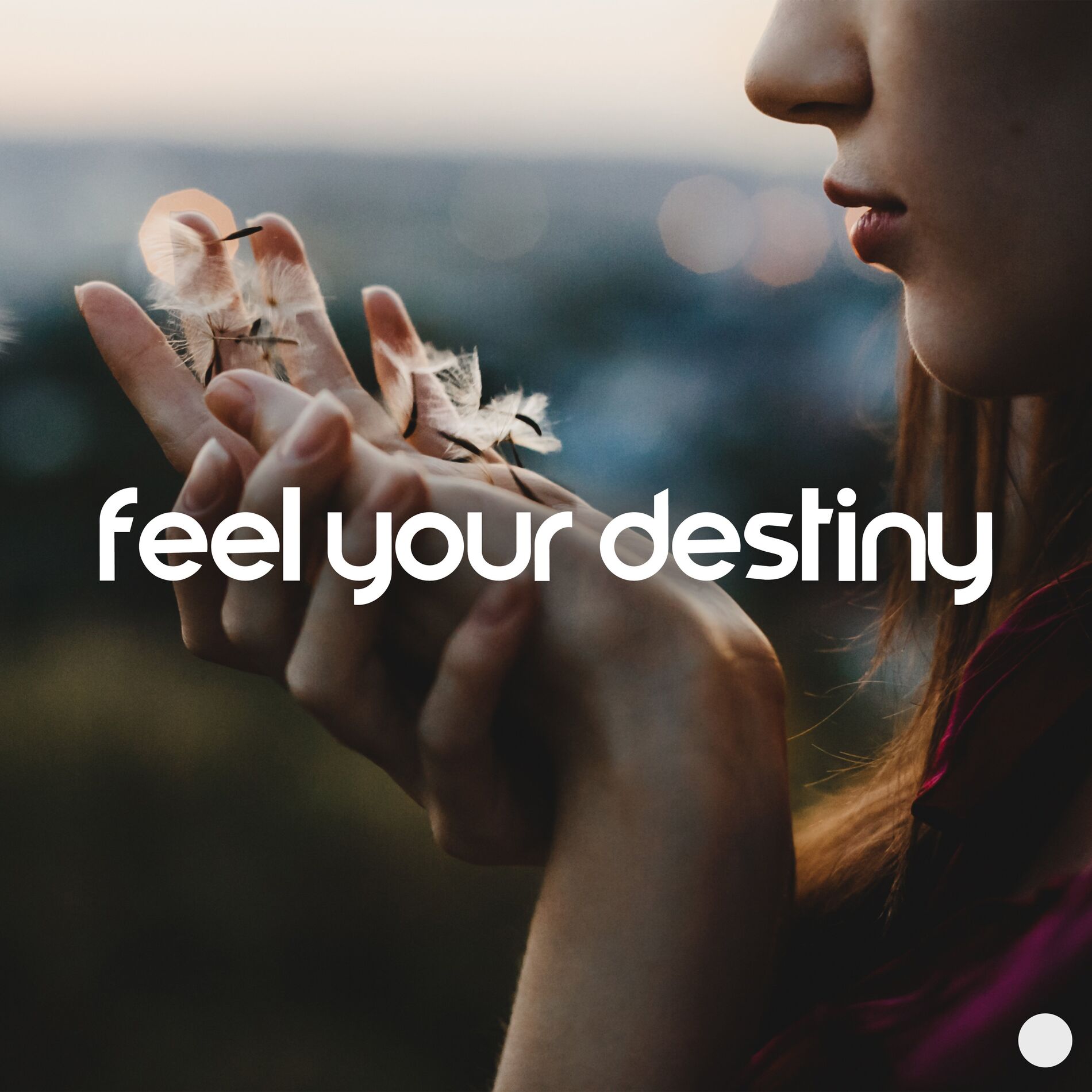 Album cover of Feel Your Destiny