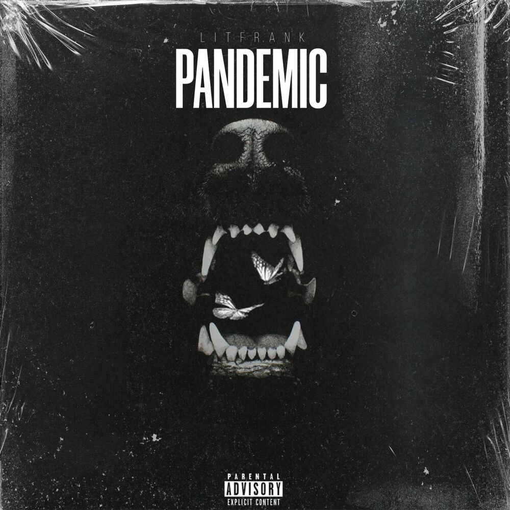 Picture of PANDEMIC