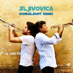 Sljivovica (dunkelbunt Remixes)