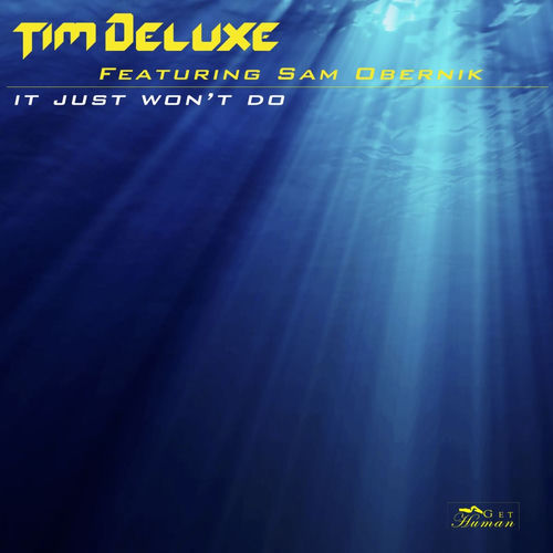 It Just Won't Do - Club Mix by Tim Deluxe - 130 BPM