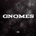GNOMES INSTRUMENTAL (SYCKA)