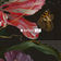Scala (Vintage Culture Remix) by Agoria album cover