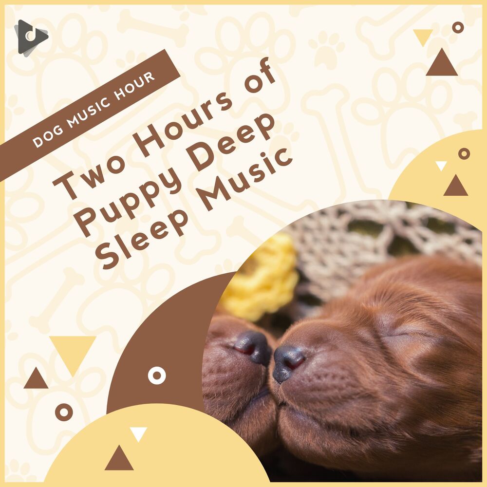 Picture of 2 Hours of Puppy Deep Sleep Music