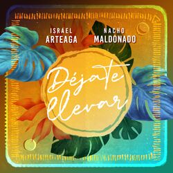 Cover of Dejate Llevar