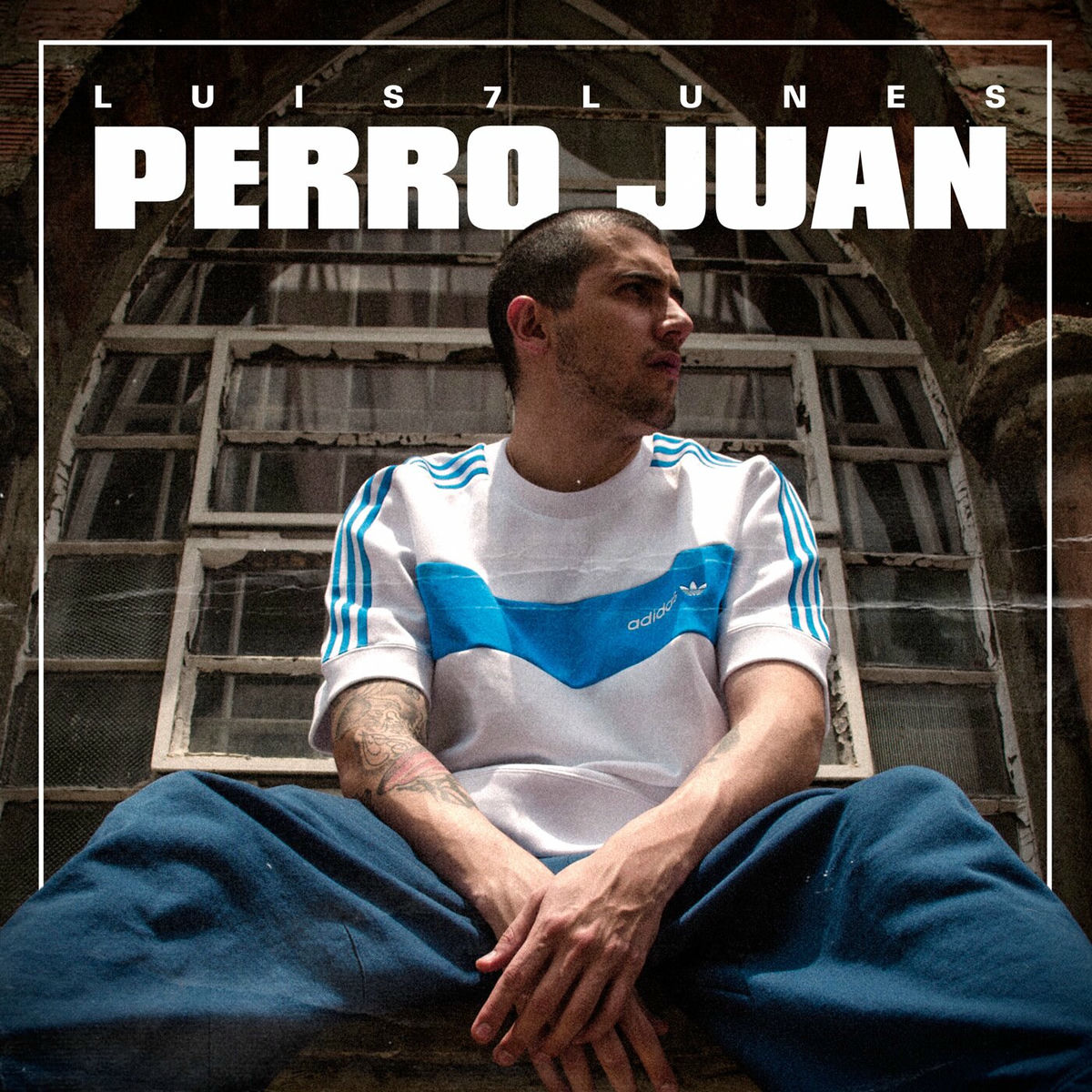 Album cover of Perro Juan
