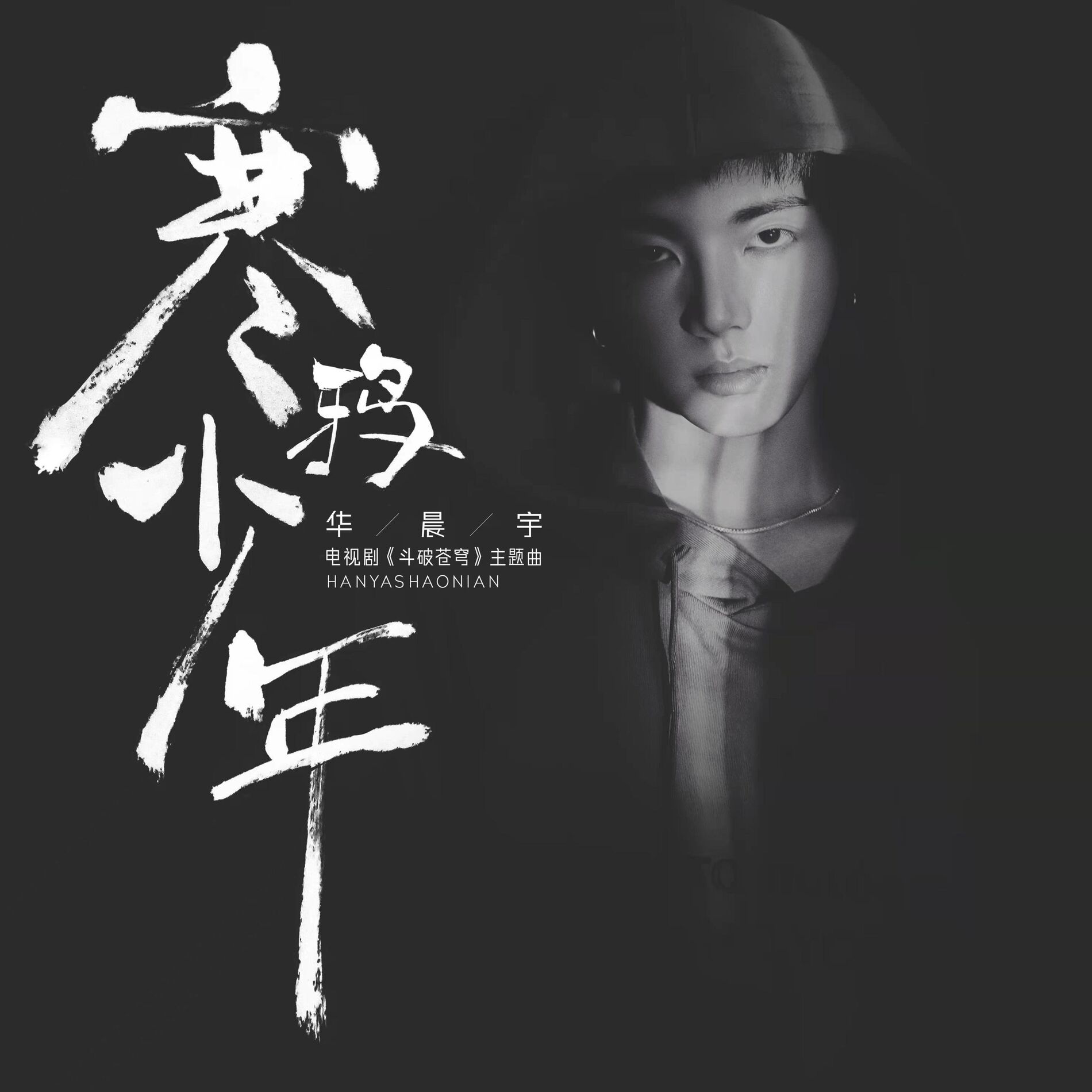 Album cover of 寒鸦少年