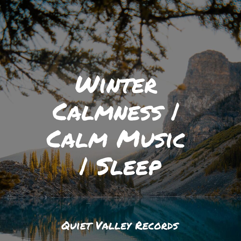 Picture of Winter Calmness | Calm Music | Sleep