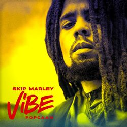 Cover of Vibe