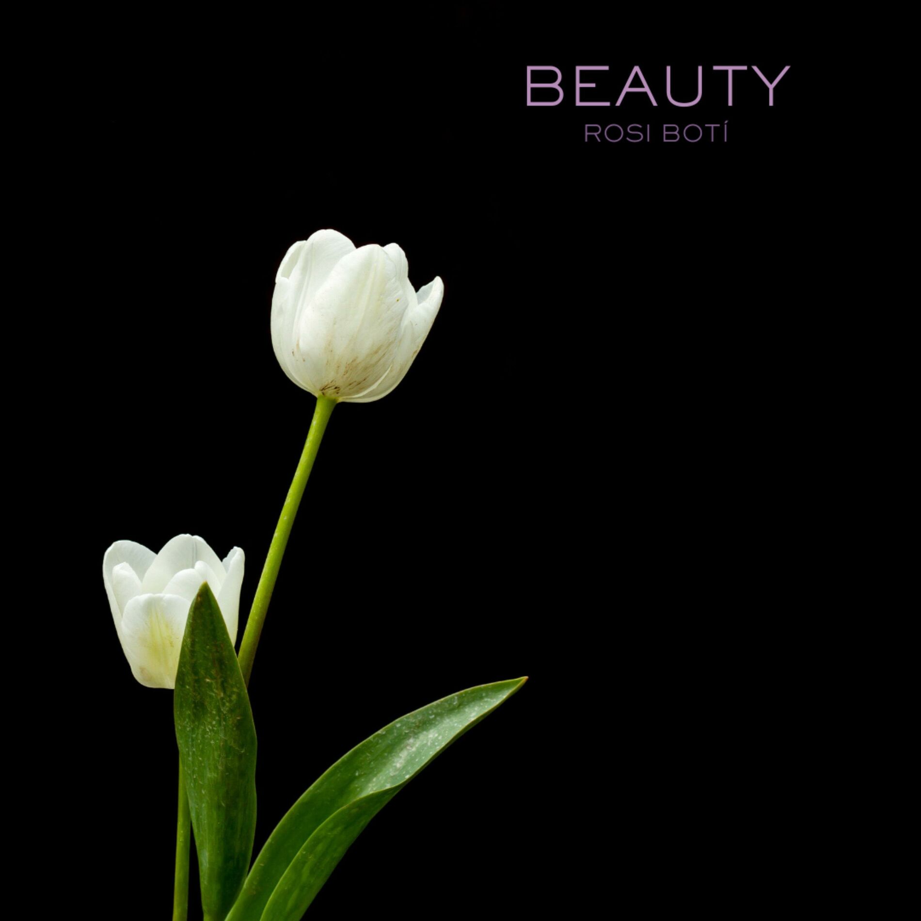 Album cover of Beauty