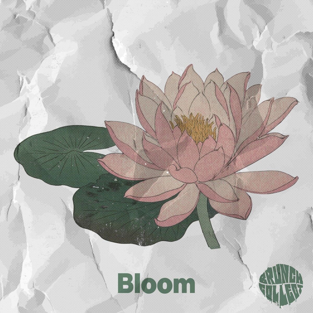 Album cover of Bloom