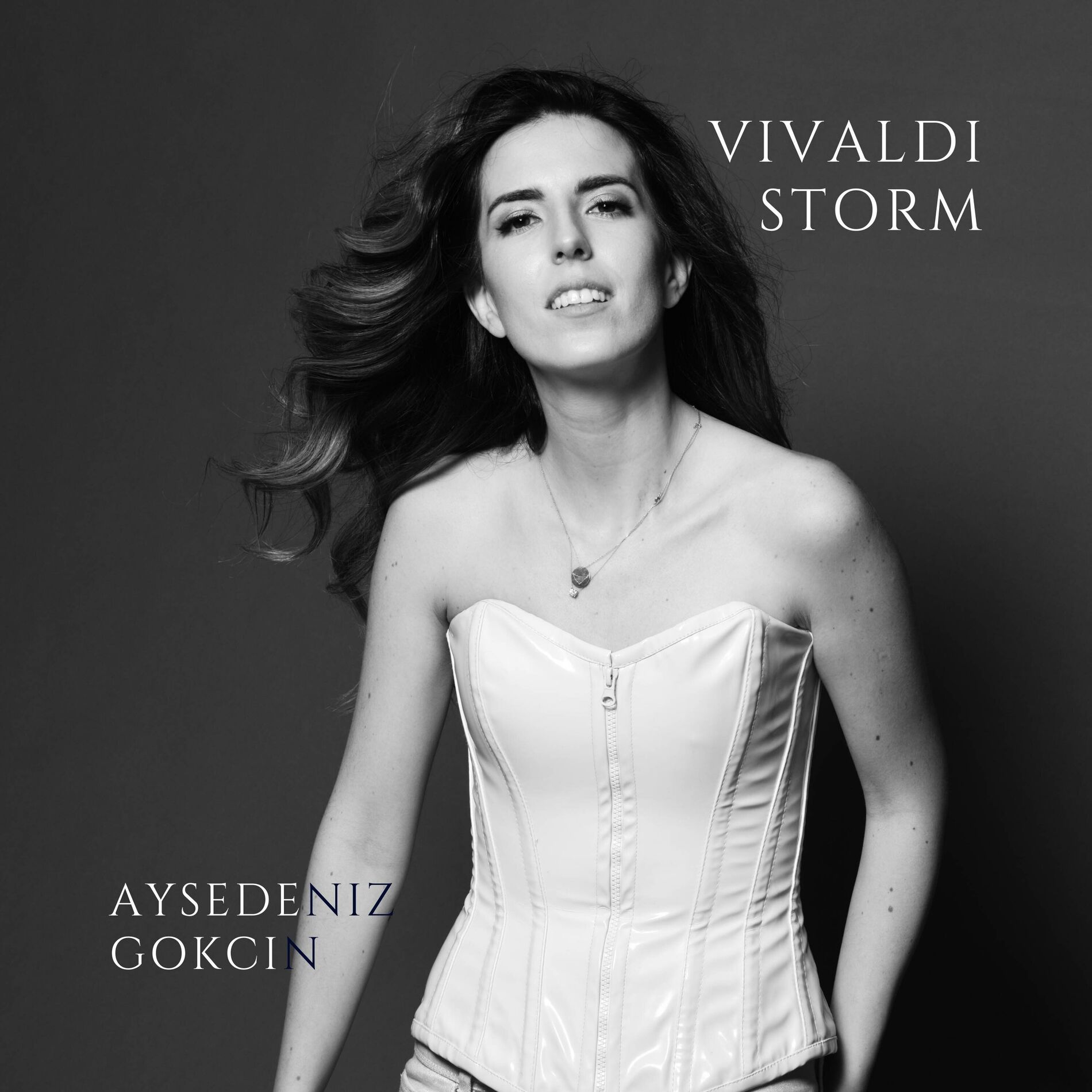 Album cover of Vivaldi Storm