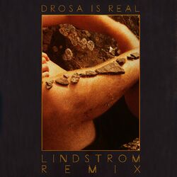 Cover of Drosa is real! (Lindstrøm Remix)